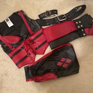 Harlequin Costume - includes full set top, pants, belt, gloves, choker
